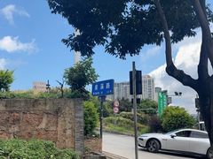 -长虫山生态公园风景林