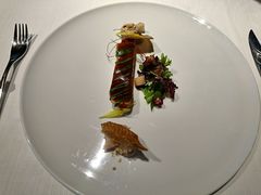 -态芮