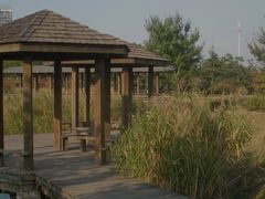 -白塘生态植物园