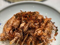 椒盐皮皮虾-苏福记·海鲜佬(凤城四路店)