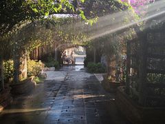 -瑞丽独树成林风景区