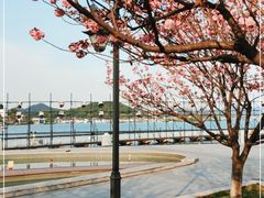 -东钱湖旅游度假区