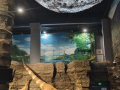 -辽宁古生物博物馆