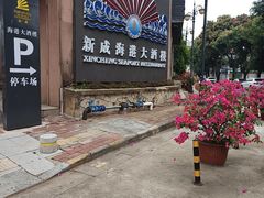 -新成海港大酒楼(康华路店)