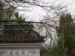 -上海佘山国家森林公园天马山园