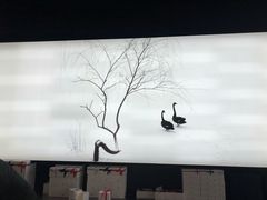 -BLACKSWAN黑天鹅(环球店)