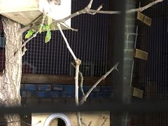 -百里峡七彩艺术小镇