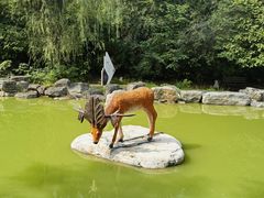 -周口店北京人遗址公园