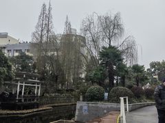 -兰溪青年公园