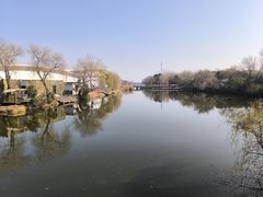 -溱湖国家湿地公园