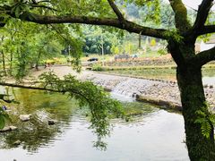 -鹿亭中村