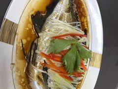 -好孕妈妈月嫂(重庆总店)