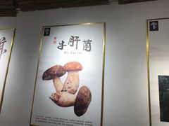 -阿鹏故事野生菌火锅(双廊古镇店)