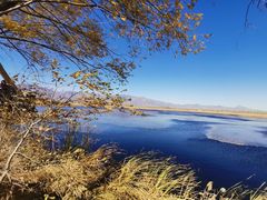 -野鸭湖国家湿地公园