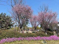 -成都市文化公园