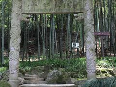 -杭州黄龙洞