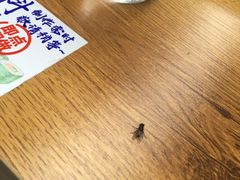 -榴大大·寿司先生(市桥店)