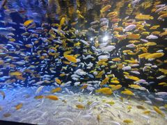 -成都浩海立方海洋公园