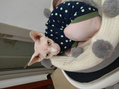 -德克士(唐龙店)