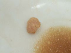 -津门如意包子铺(宾西路店)