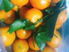 -鲜丰水果(九洲新世界花苑店)