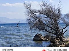 -洱海月湿地公园