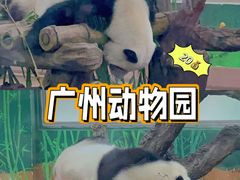 -广州动物园