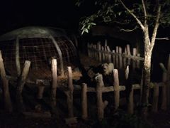 -清迈夜间动物园