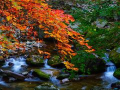 -本溪老边沟风景区