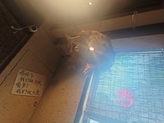 -泥糊破店小酒馆·团建聚餐(南京西路店)