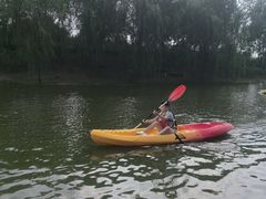 -黄海国家森林公园