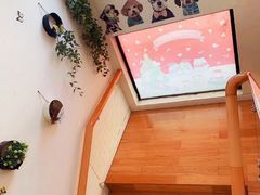 -BlueBubble蓝泡泡婴幼儿游泳会所(合川路店)