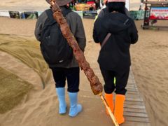 -银肯塔拉沙漠生态旅游景区