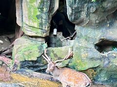 -长鹿旅游休博园