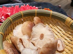 -捞王猪肚鸡火锅(金华义乌之心店)