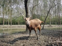 -溱湖国家湿地公园