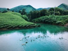 -帐篷客·溪龙茶谷度假酒店