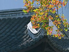 -老门东历史文化街区
