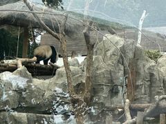 -武汉动物园