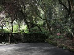-和顺古镇