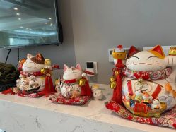 -潮店·溯美日式轻奢美睫馆