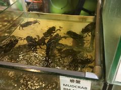 -兴旺海鲜砂煲王