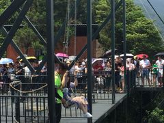 -梦幻奥陶纪景区