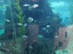 -鸿通城购物中心