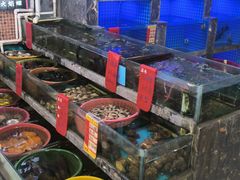 -鑫鸿达·海鲜闽菜热炒小馆(中山路店)