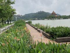-顺峰山公园