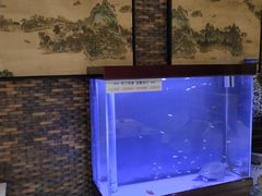 -老江南春·中国龙菜(衡山路店)