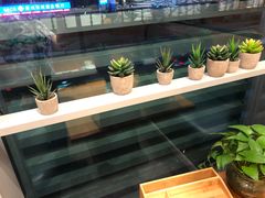 -莲香西域·正宗新疆菜(龙华店)