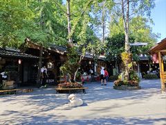 -青城甲(青城山店)