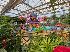 -南宫五洲植物乐园